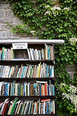 포토 JPG 주간 식물 해외풍경 해외 유럽 벽 백그라운드 영국 웨일즈 책장 거리 돌담 벽면 거리풍경 사람없음 야외 책 판매 상점 전시 도서관 덩굴 진열장 노천 국내포토 자연요소 교육 나라 가구 풍경 담장 돌_바위 파일형식