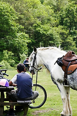 포토 JPG 주간 나무 식물 동물 한마리 해외풍경 해외 남자 유럽 줄 벤치 의자 영국 웨일즈 사람 앉기 풍경 초원 성인 야외 두명 뒷모습 아웃포커스 농장 자전거 목장 말_동물 풀 숲 고삐 안장 남자만 성인남자만 성인만 국내포토 자연요소 1 나라 뷰포인트 가구 농업 포유류 모션 촬영기법 바이크 파일형식