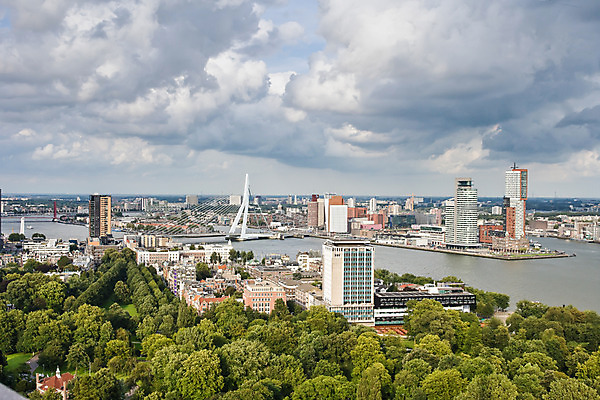 포토 JPG 주간 나무 구름 해외풍경 해외 건축물 유럽 하늘 주택 풍경 빌딩 사람없음 야외 건물 강 도시풍경 탑 도시 네덜란드 전망대 네델란드 흐림 로테르담 가교 국내포토 자연요소 식물 건축 나라 날씨 파일형식