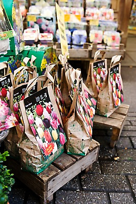 포토 JPG 주간 해외풍경 해외 꽃 유럽 바닥 사람없음 야외 아웃포커스 상자 도시풍경 쇼핑백 상점 전시 도시 시장 네덜란드 네델란드 꽃시장 국내포토 자연요소 식물 나라 가방 촬영기법 풍경 파일형식