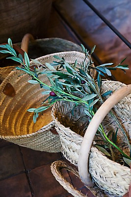 포토 JPG 주간 식물 해외풍경 해외 유럽 나뭇잎 바닥 풍경 사람없음 야외 바구니 상점 전시 프랑스 시장 파리_프랑스 수공예품 엮은 국내포토 자연요소 나라 잎 공예품 파일형식