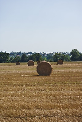 포토 JPG 주간 나무 식물 해외풍경 해외 유럽 자연 논 풍경 사람없음 야외 프랑스 농촌 시골 볏짚 뭉치 볏단 국내포토 자연요소 나라 농업 짚 생태계 파일형식