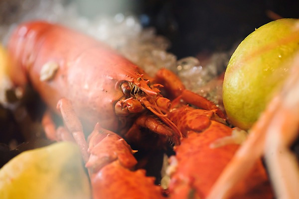 포토 JPG 동물 유럽 음식 절지류 과일 식재료 근접촬영 사람없음 아웃포커스 프랑스 시장 바닷가재 레몬 해산물 파리_프랑스 삶기 국내포토 나라 뷰포인트 촬영기법 가재 파일형식