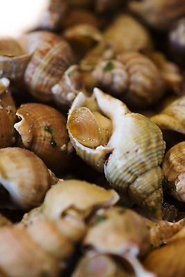 포토 JPG 동물 유럽 음식 다수 백그라운드 식재료 연체동물 나선형 근접촬영 사람없음 아웃포커스 갈색 쌓기 여러개 프랑스 껍질 시장 소라 해산물 파리_프랑스 원뿔 삶기 국내포토 도형 나라 뷰포인트 컬러 무늬 모션 어패류 무척추동물 촬영기법 파일형식