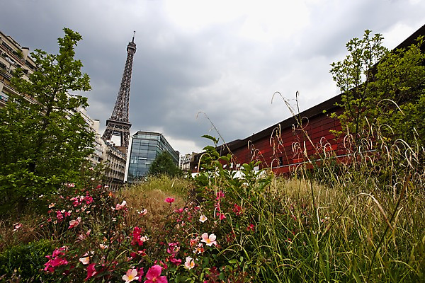 포토 JPG 주간 나무 해외풍경 해외 건축물 꽃 유럽 로우앵글 꽃밭 하늘 풍경 사람없음 야외 건물 관광지 도시풍경 탑 프랑스 도시 풀 에펠탑 박물관 조경 철탑 파리_프랑스 흐림 국립박물관 철구조물 케브랑리국립박물관 국내포토 자연요소 식물 건축 나라 뷰포인트 여행 날씨 구조물 파리 랜드마크 파일형식
