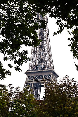 포토 JPG 주간 나무 해외풍경 해외 건축물 외관 유럽 로우앵글 하늘 풍경 사람없음 야외 관광지 인테리어 탑 프랑스 에펠탑 조경 전망대 철탑 파리_프랑스 흐림 철구조물 국내포토 자연요소 식물 디자인 건축 나라 뷰포인트 여행 날씨 구조물 파리 랜드마크 파일형식