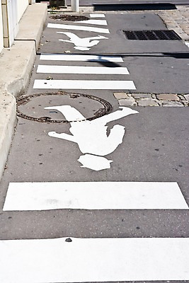 포토 JPG 주간 해외풍경 해외 기호 유럽 도로 길 백그라운드 표시 거리 바닥 안내 거리풍경 풍경 사람없음 야외 프랑스 페인트칠 보행로 파리_프랑스 맨홀 국내포토 자연요소 문자 나라 교통시설 페인팅 파일형식