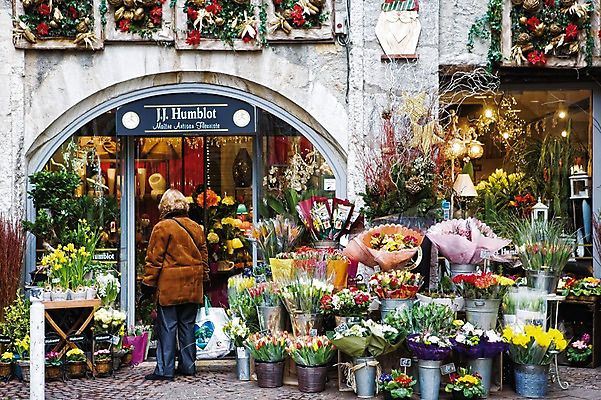 포토 JPG 주간 전신 식물 해외풍경 해외 건축물 여자 꽃 유럽 화분 꽃다발 한명 서기 사람 풍경 야외 뒷모습 프랑스 꽃집 앙시 여자만 여자한명만 국내포토 자연요소 1 건축 나라 뷰포인트 모션 상점 파일형식
