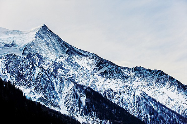 포토 JPG 주간 나무 식물 해외풍경 해외 유럽 자연 산 풍경 사람없음 야외 프랑스 몽블랑 샤모니 국내포토 자연요소 나라 생태계 파일형식
