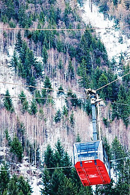 포토 JPG 주간 나무 식물 해외풍경 해외 유럽 선 교통수단 자연 산 풍경 사람없음 야외 전선 프랑스 케이블카 샤모니 국내포토 자연요소 나라 교통 생태계 파일형식