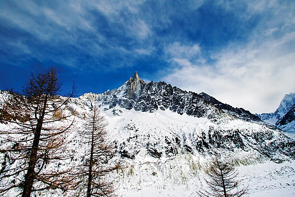 포토 JPG 주간 나무 구름 해외풍경 해외 계절 유럽 겨울 자연 하늘 산 풍경 사람없음 야외 프랑스 눈 샤모니 국내포토 자연요소 식물 나라 날씨 생태계 파일형식