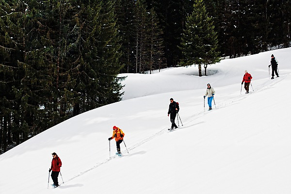 포토 JPG 주간 전신 외국인 나무 식물 해외풍경 해외 계절 유럽 겨울 자연 사람 풍경 여러명 야외 설원 프랑스 눈 므제브 국내포토 자연요소 나라 다수 날씨 눈_날씨 인종 생태계 파일형식