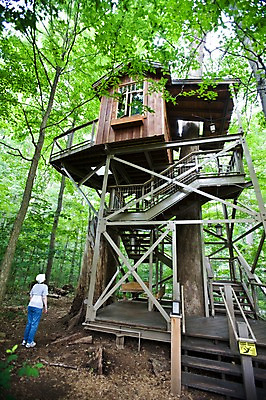 포토 JPG 주간 전신 나무 식물 해외풍경 해외 건축물 자연 주택 한명 사람 풍경 야외 뒷모습 미국 숲 필라델피아 국내포토 자연요소 1 건축 뷰포인트 북아메리카 건물 생태계 파일형식