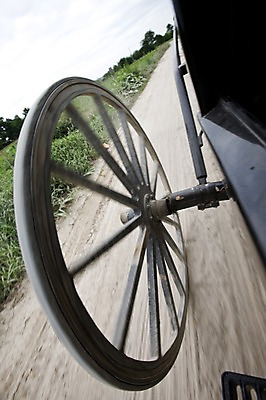 포토 JPG 주간 나무 식물 해외풍경 해외 도로 길 교통수단 풍경 근접촬영 사람없음 야외 아웃포커스 미국 바퀴 풀 마차 필라델피아 국내포토 자연요소 뷰포인트 교통 북아메리카 교통시설 촬영기법 파일형식