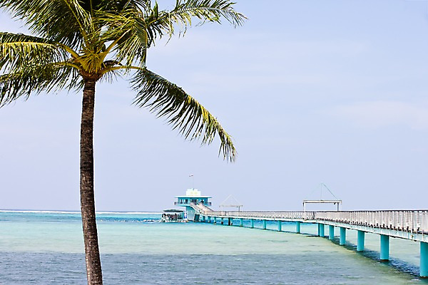 포토 JPG 주간 나무 식물 해외풍경 해외 시설물 건축물 바다 자연 풍경 근접촬영 사람없음 야외 야자수 괌 가교 국내포토 자연요소 건축 뷰포인트 오세아니아 생태계 파일형식
