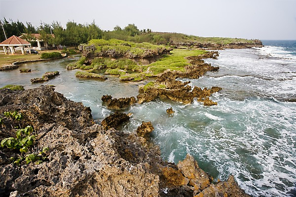 포토 JPG 주간 나무 식물 해외풍경 해외 파도 바다 자연 주택 풍경 사람없음 야외 건물 괌 국내포토 자연요소 건축물 오세아니아 생태계 파일형식