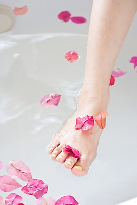 포토 JPG 식물 꽃잎 백그라운드 발 욕조 실내 한명 신체부위 물 스파 스파용품 괌 국내포토 자연요소 1 꽃 사람 내부 오세아니아 오브젝트 파일형식