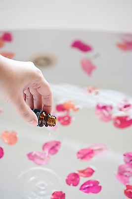 포토 JPG 식물 손 꽃잎 백그라운드 한손 욕조 실내 한명 들기 신체부위 물 스파 상품 아로마 스파용품 괌 국내포토 자연요소 1 꽃 모션 사람 내부 오세아니아 오브젝트 파일형식