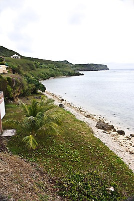 포토 JPG 주간 나무 식물 해외풍경 해외 바다 자연 풍경 해변 사람없음 야외 건물 풀 괌 국내포토 자연요소 건축물 오세아니아 생태계 파일형식