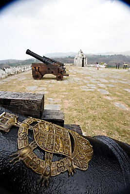 포토 JPG 주간 식물 해외풍경 해외 무기 자연 풍경 근접촬영 잔디 사람없음 야외 아웃포커스 대포 괌 국내포토 자연요소 뷰포인트 촬영기법 오세아니아 생태계 파일형식