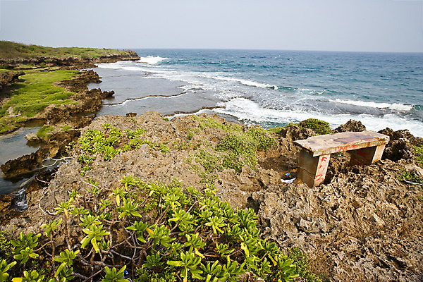 포토 JPG 주간 식물 해외풍경 해외 파도 바다 자연 풍경 사람없음 야외 돌_바위 바위 풀 괌 국내포토 자연요소 오세아니아 생태계 파일형식