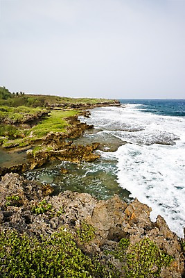 포토 JPG 주간 식물 해외풍경 해외 파도 바다 자연 풍경 사람없음 야외 돌_바위 바위 풀 괌 국내포토 자연요소 오세아니아 생태계 파일형식