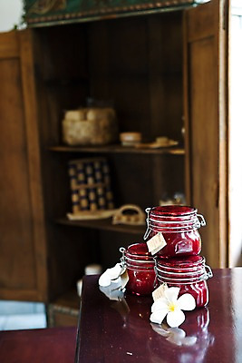 포토 JPG 주간 식물 꽃 백그라운드 탁자 실내 통 근접촬영 사람없음 아웃포커스 상품 오브젝트 서랍장 스파용품 괌 국내포토 자연요소 뷰포인트 가구 촬영기법 내부 스파 오세아니아 파일형식