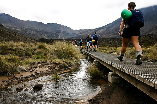 포토 JPG 주간 외국인 식물 해외풍경 해외 자연 산 사람 풍경 여러명 야외 뒷모습 계곡 등산 풀 오세아니아 뉴질랜드 가교 국내포토 자연요소 건축물 나라 뷰포인트 다수 인종 트래킹 생태계 파일형식