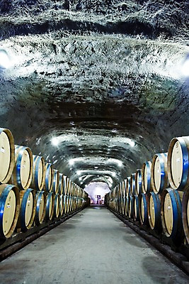 포토 JPG 실내 통 풍경 사람없음 쌓기 와인 동굴 오세아니아 저장 뉴질랜드 와인통 저장소 국내포토 나라 모션 주류 내부 파일형식