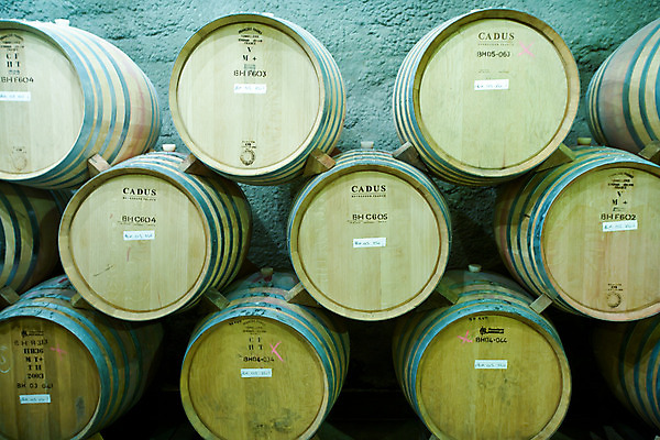 포토 JPG 실내 통 풍경 사람없음 쌓기 와인 오세아니아 뉴질랜드 와인통 저장소 국내포토 나라 모션 주류 내부 파일형식