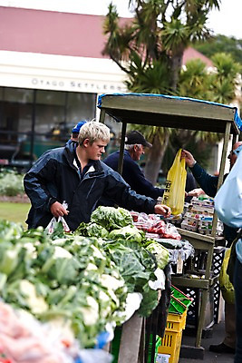 포토 JPG 주간 서양인 외국인 나무 식물 해외풍경 해외 남자 채소 사람 풍경 여러명 야외 건물 쇼핑 전시 오세아니아 상품 뉴질랜드 노점상 남자만 국내포토 자연요소 건축물 나라 다수 인종 파일형식
