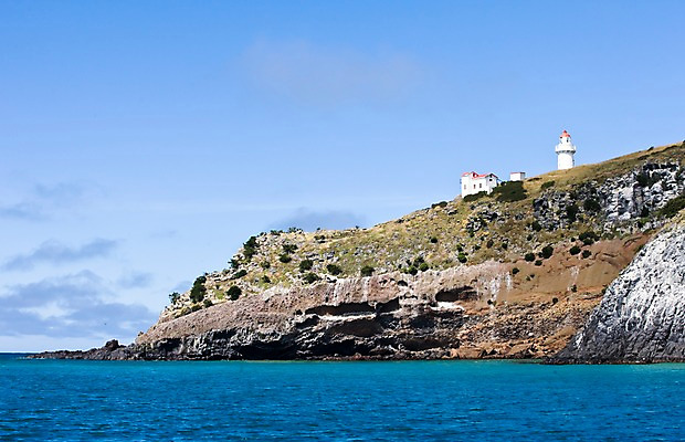 포토 JPG 주간 나무 식물 해외풍경 해외 건축물 바다 자연 주택 풍경 사람없음 야외 돌_바위 바위 오세아니아 언덕 뉴질랜드 국내포토 자연요소 건축 나라 건물 생태계 파일형식