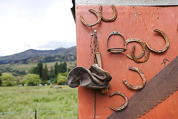 포토 JPG 주간 나무 식물 해외풍경 해외 산 풍경 초원 사람없음 야외 오세아니아 뉴질랜드 말발굽 승마장 편자 국내포토 자연요소 나라 파일형식