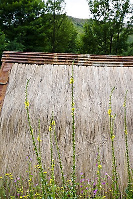 포토 JPG 주간 나무 식물 해외풍경 해외 건축물 꽃 자연 산 풍경 사람없음 야외 오세아니아 볏짚 뉴질랜드 국내포토 자연요소 건축 나라 짚 생태계 파일형식