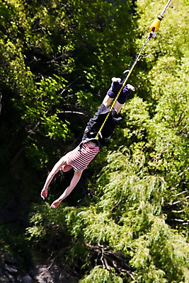 포토 JPG 주간 서양인 외국인 나무 식물 해외풍경 해외 남자 줄 한명 사람 풍경 야외 점프 오세아니아 번지점프 뉴질랜드 국내포토 자연요소 1 나라 모션 인종 익스트림스포츠 파일형식