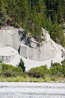 포토 JPG 주간 나무 식물 해외풍경 해외 자연 풍경 사람없음 야외 돌_바위 바위 오세아니아 뉴질랜드 국내포토 자연요소 나라 생태계 파일형식