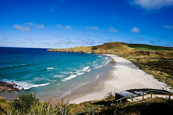포토 JPG 주간 식물 해외풍경 해외 파도 바다 자연 풍경 해변 사람없음 야외 모래사장 풀 오세아니아 뉴질랜드 국내포토 자연요소 나라 생태계 파일형식