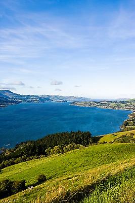 포토 JPG 주간 식물 해외풍경 해외 바다 섬 자연 풍경 잔디 초원 사람없음 야외 마을 오세아니아 뉴질랜드 국내포토 자연요소 나라 생태계 파일형식