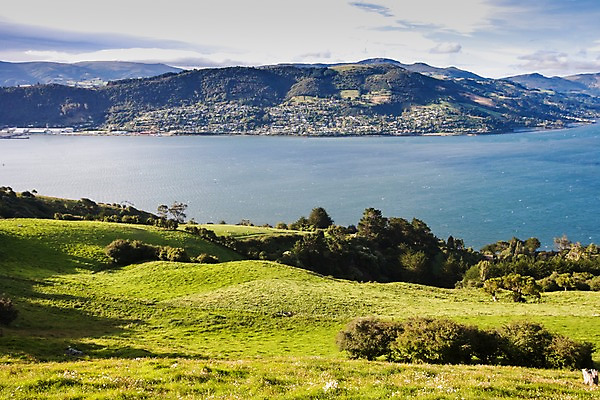 포토 JPG 주간 식물 해외풍경 해외 바다 섬 자연 풍경 잔디 초원 사람없음 야외 마을 오세아니아 뉴질랜드 국내포토 자연요소 나라 생태계 파일형식