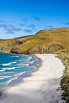포토 JPG 주간 해외풍경 해외 파도 바다 자연 풍경 해변 사람없음 야외 모래사장 오세아니아 언덕 뉴질랜드 국내포토 자연요소 나라 생태계 파일형식
