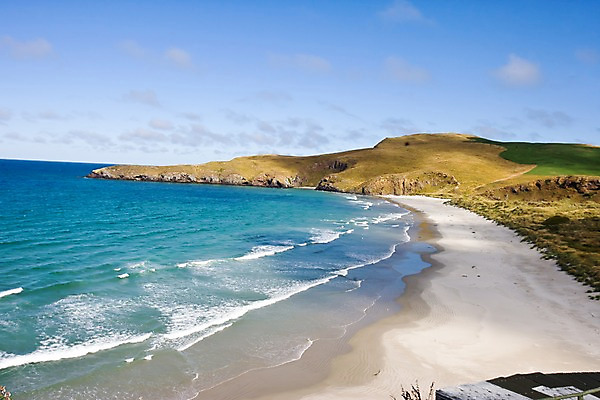 포토 JPG 주간 식물 해외풍경 해외 파도 바다 자연 풍경 해변 사람없음 야외 모래사장 풀 오세아니아 뉴질랜드 국내포토 자연요소 나라 생태계 파일형식