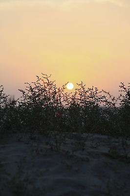 포토 JPG 해외풍경 모래 중동 하늘 사람없음 야외 태양 노을 카타르 국내포토 자연요소 해외 나라 풍경 파일형식