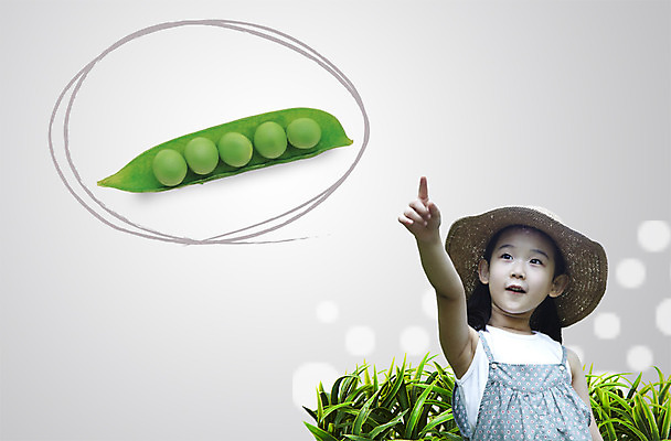 PSD 편집 편집이미지 모자 라이프스타일 웰빙 여자 어린이 음식 채소 콩 한명 서기 사람 동양인 손짓 소녀 상반신 앞모습 유치원생 한국인 가리킴 풀 친환경 유기농 완두콩 웰빙라이프 웰빙음식 여자만 여자한명만 어린이만 소녀만 소녀한명만 이미지편집 1 잡화 뷰포인트 모션 곡류 인종 생활 환경 건강식 파일형식