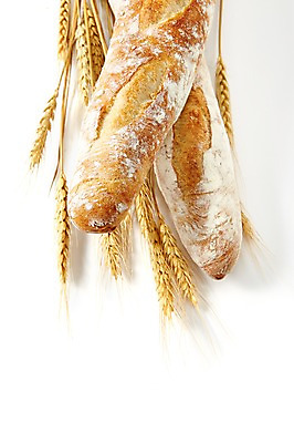 포토 JPG 스튜디오촬영 음식 빵 디저트 곡류 실내 누끼 근접촬영 사람없음 빵집 바게트 밀 제빵 국내포토 뷰포인트 내부 제과제빵 상점 파일형식