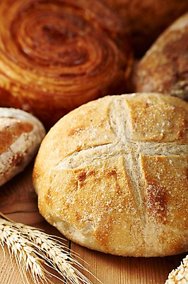 포토 JPG 스튜디오촬영 음식 빵 디저트 곡류 실내 근접촬영 사람없음 아웃포커스 빵집 바게트 밀 제빵 호밀빵 데니쉬 국내포토 뷰포인트 촬영기법 내부 제과제빵 상점 파일형식