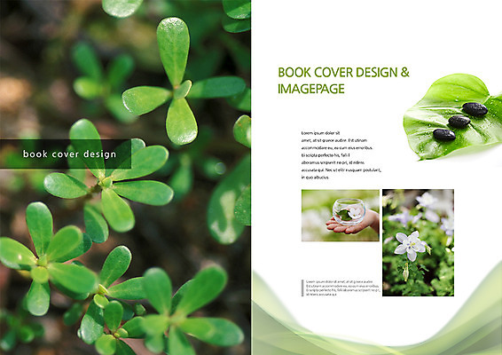 PSD 식물 템플릿 편집 표지디자인 북디자인 손 출판디자인 꽃 내지 백그라운드 잎 북커버 자연 유리병 나뭇잎 한명 들기 팜플렛 신체부위 돌_바위 이미지템플릿 1 모션 병_용기 사람 생태계 파일형식