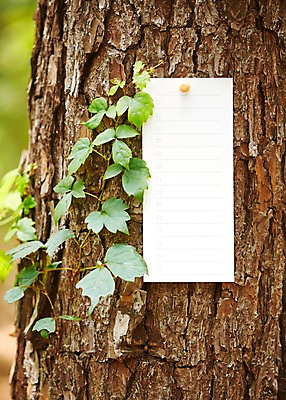 포토 JPG 주간 나무 식물 종이 백그라운드 자연 안내 프레임 알림판 풍경 근접촬영 사람없음 야외 아웃포커스 나뭇가지 소나무 알림 국내포토 자연요소 뷰포인트 촬영기법 생태계 파일형식