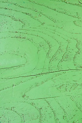 포토 JPG 스튜디오촬영 컬러 백그라운드 무늬 패턴 표면 실내 근접촬영 사람없음 목재 초록색 판넬 질감 국내포토 나무 뷰포인트 재료 내부 파일형식