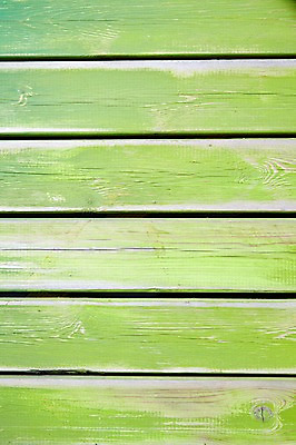 포토 JPG 스튜디오촬영 컬러 백그라운드 무늬 패턴 표면 실내 근접촬영 사람없음 목재 연두색 판넬 질감 국내포토 나무 뷰포인트 재료 내부 초록색 파일형식