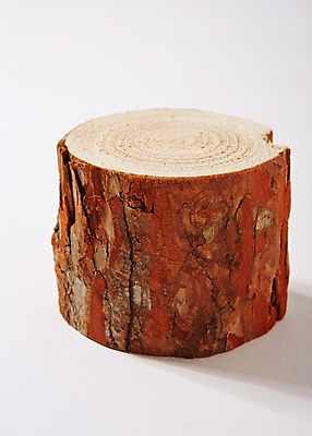 포토 JPG 스튜디오촬영 나무 백그라운드 무늬 패턴 표면 실내 근접촬영 사람없음 목재 질감 나무토막 나이테 토막 국내포토 식물 뷰포인트 재료 내부 파일형식